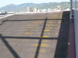 松山市中村（メゾン中村Ⅱ・Ⅲ・Ⅴ）塗装工事 他 施工前
